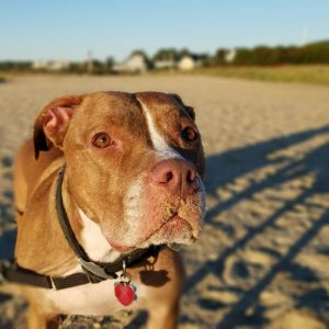 Beach time