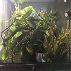 New enclosure