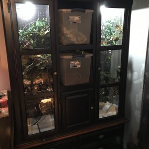 China cabinet conversion