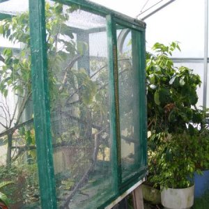 Ranch Location Greenhouse