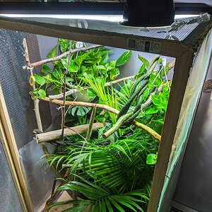 Custom Enclosure