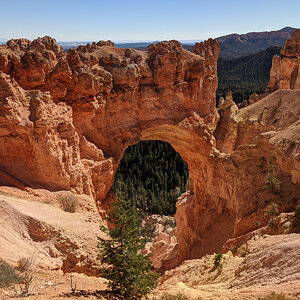 Bryce Canyon I