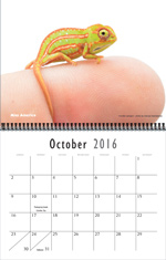 calendar16_october.jpg