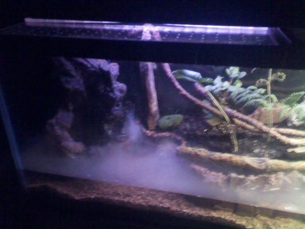 55GAL VIV #6 WATER SIDE