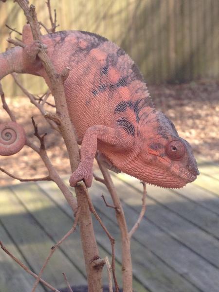 A little outside time on a warm day in March