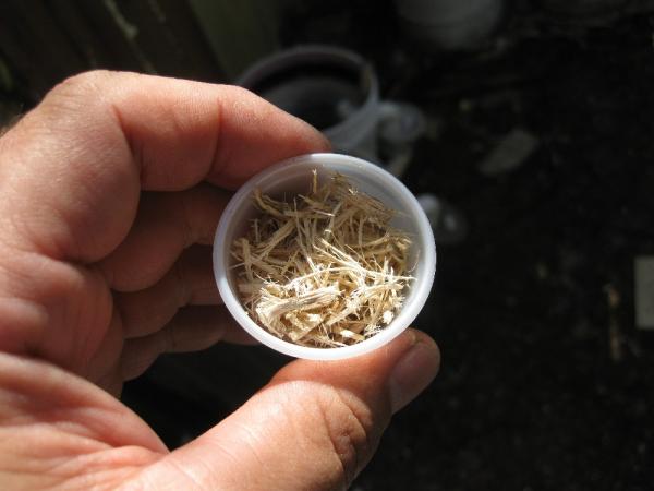 Add a small bit of Aspen bedding on top and put the lid on, wait eleven days.