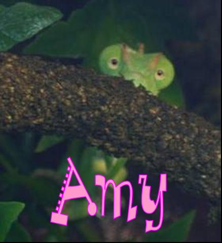 Amy Name Tag