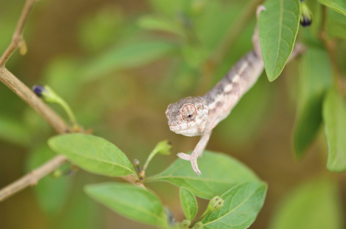 Baby outside