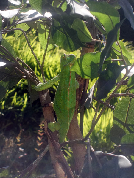 Basking away