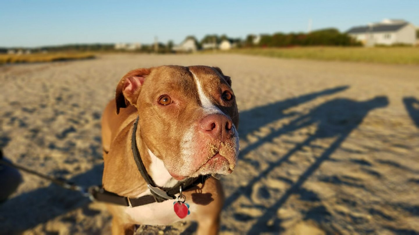 Beach time