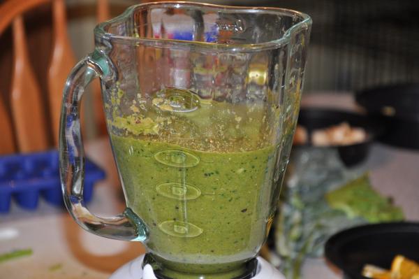 Blended vegetable gutload.