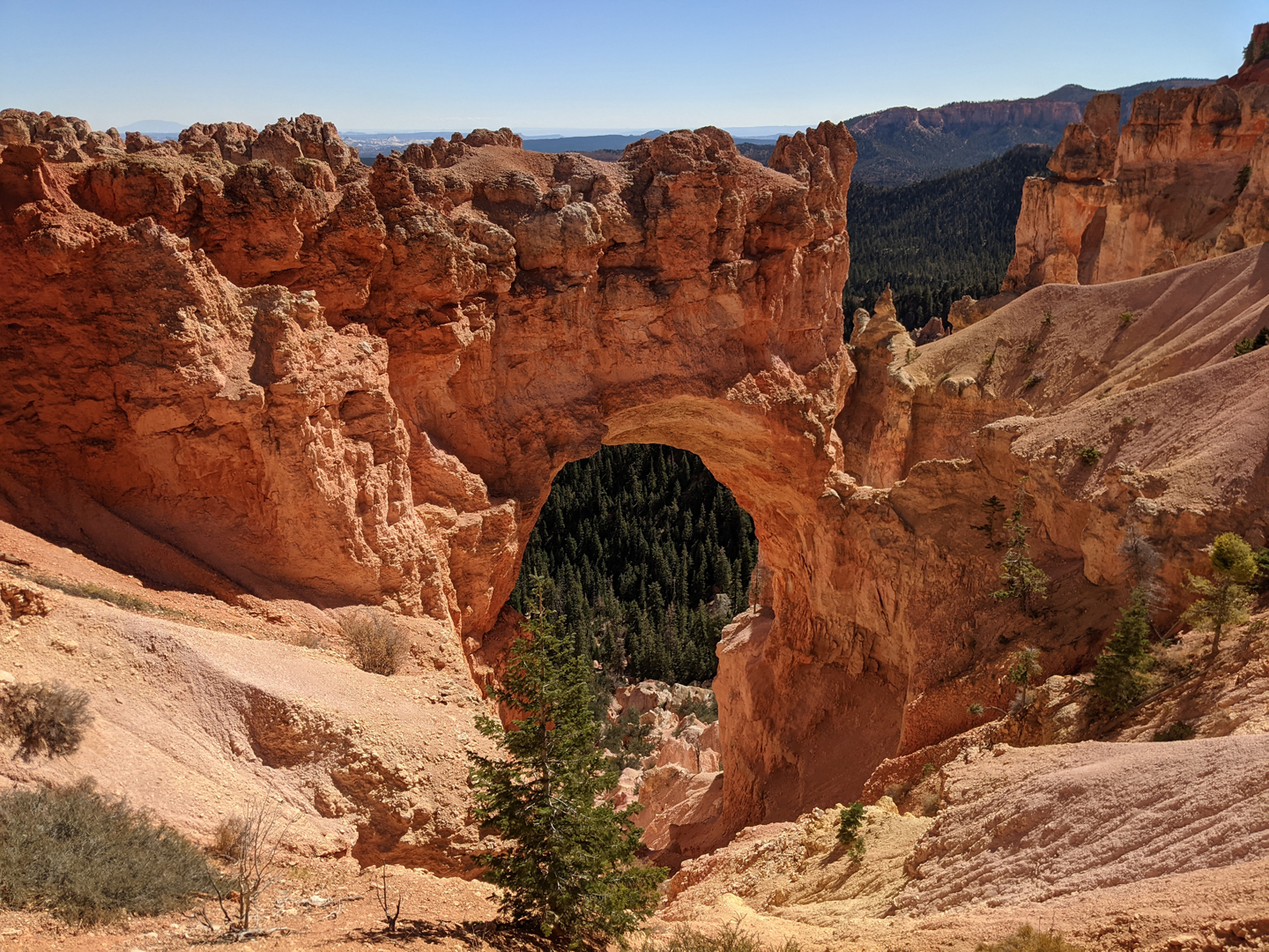 Bryce Canyon I