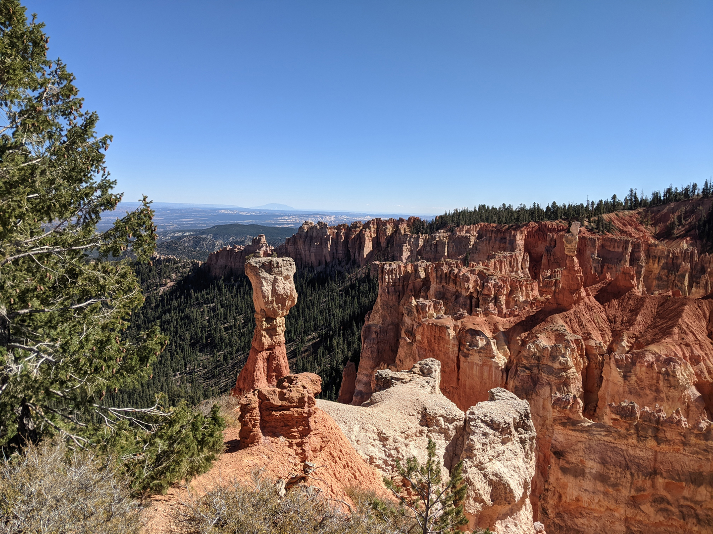 Bryce Canyon III