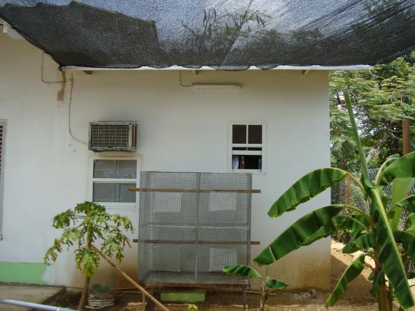 Cage Under Shade cloth