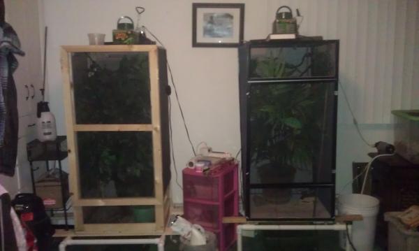 Calliope's new cage on the left and Leviathan's on the right.
10/12/11