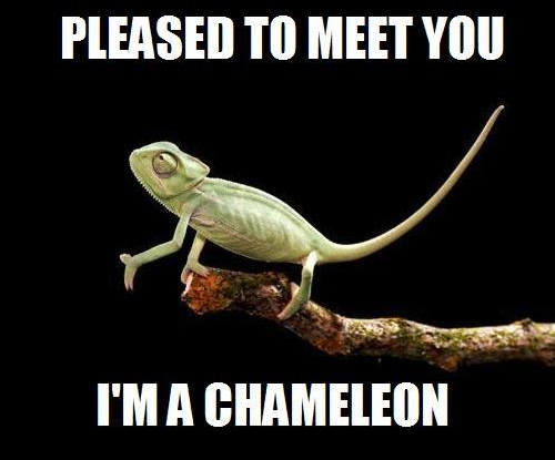 Chameleon