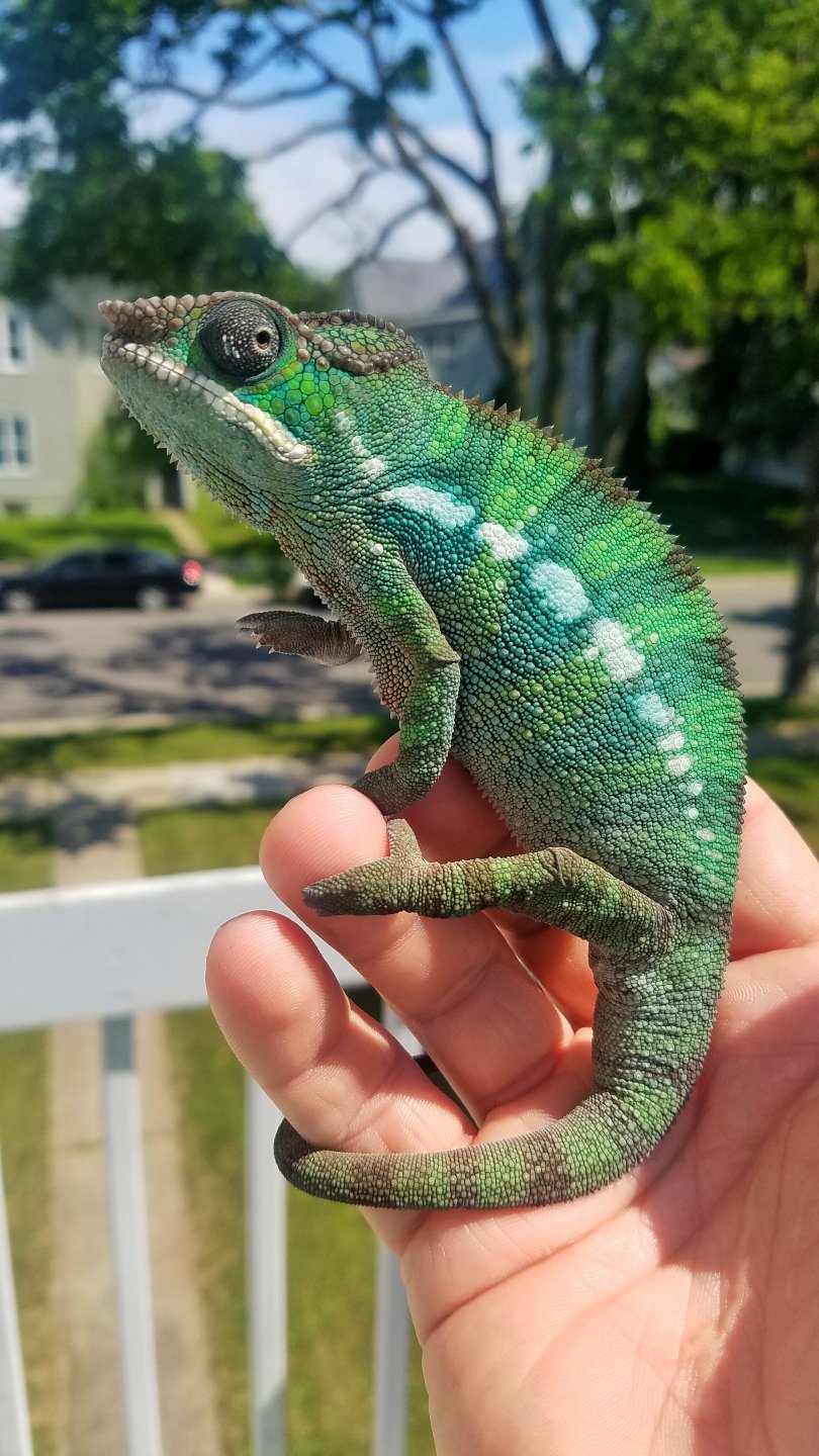 Chillin on the porch