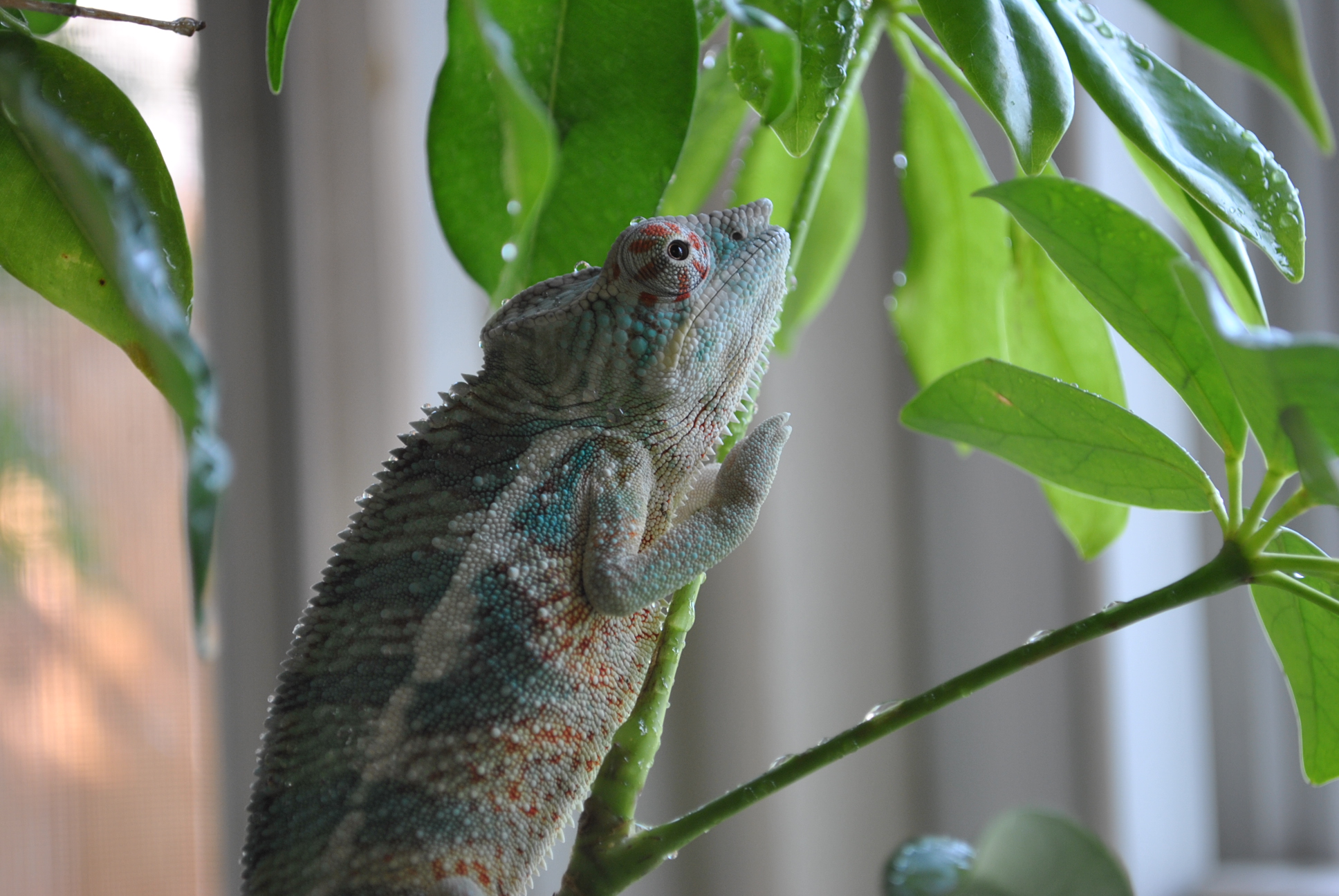 Enjoying The Window