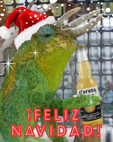 Feliz navidad