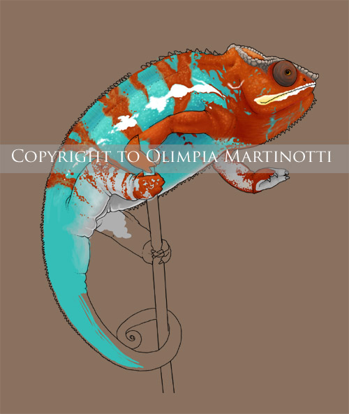 Fierce the Ambilobe Portrait. Preview/Progress Shot #4.

(All Photoshop. Reference photo courtesy of Chameleons 101)