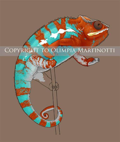 Fierce the Ambilobe Portrait. Preview/Progress Shot #5

(All Photoshop. Reference Photo Courtesy of Chameleons 101)