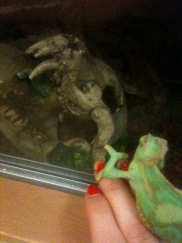 Fred trying to get in sids viv