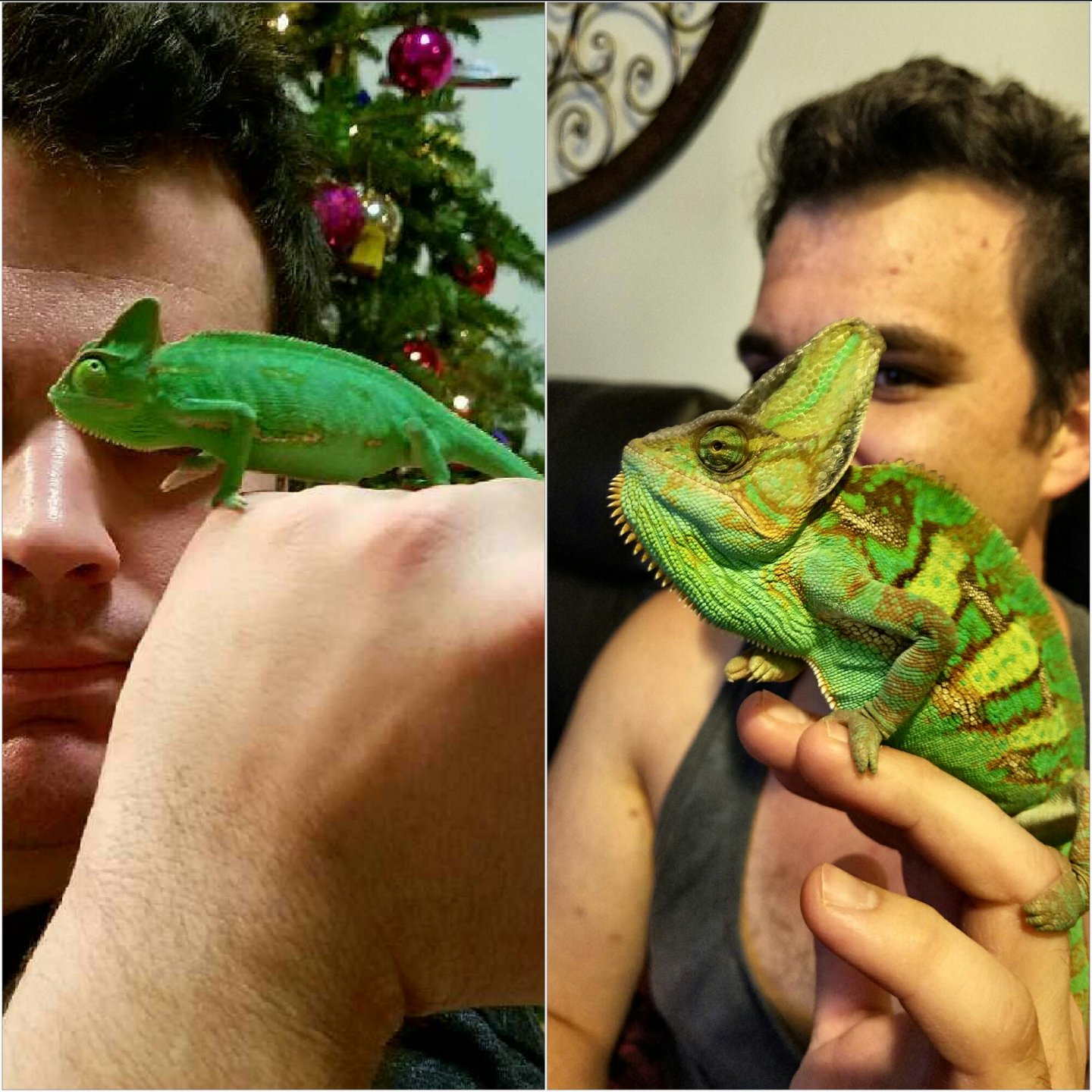 Gary's Growth