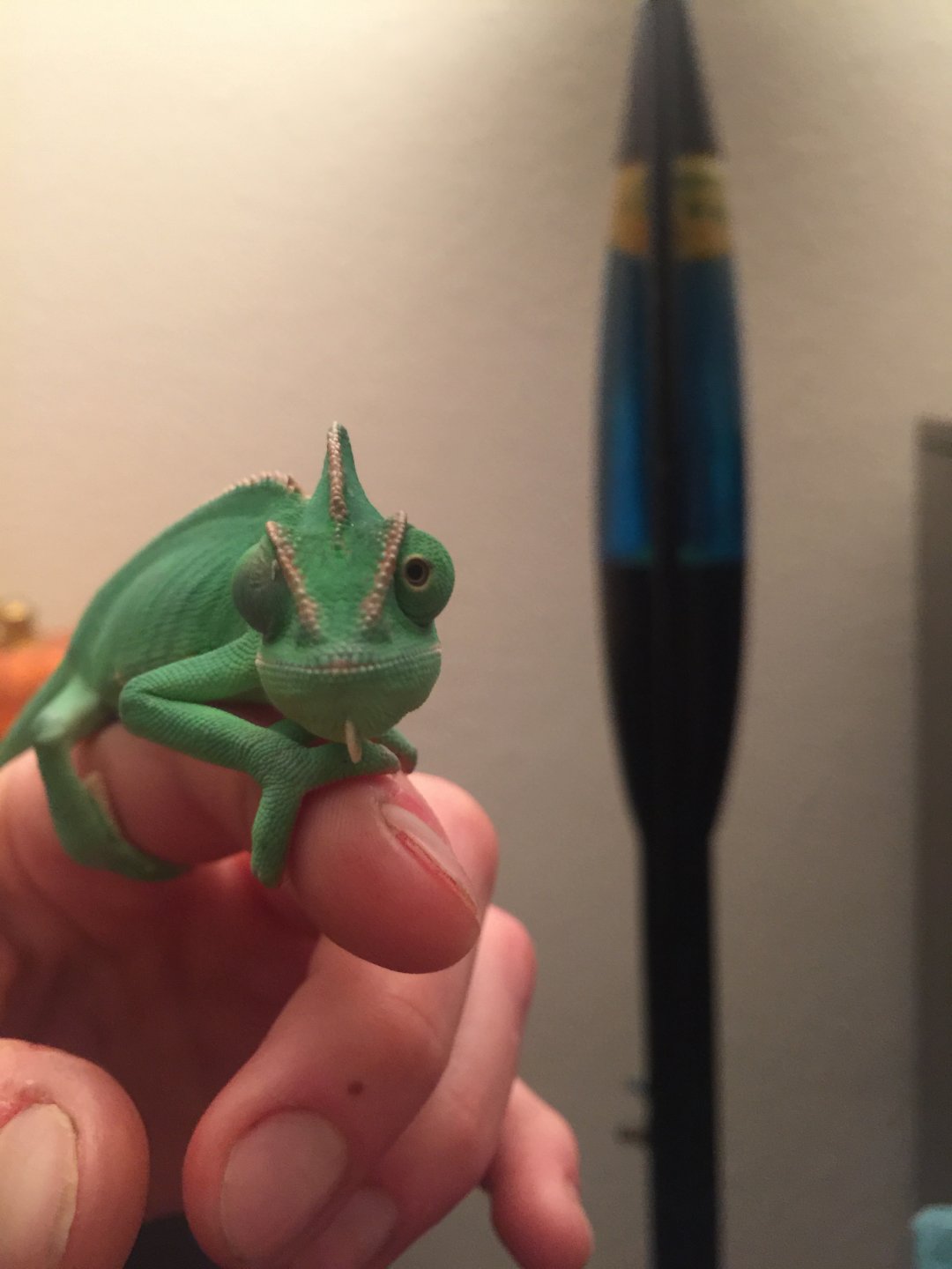 green mean chameleon