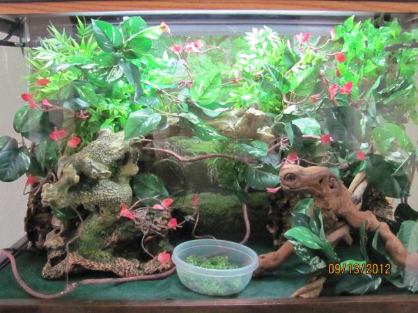 Here's the temporary home for Zaphod. Hope he likes his new home!