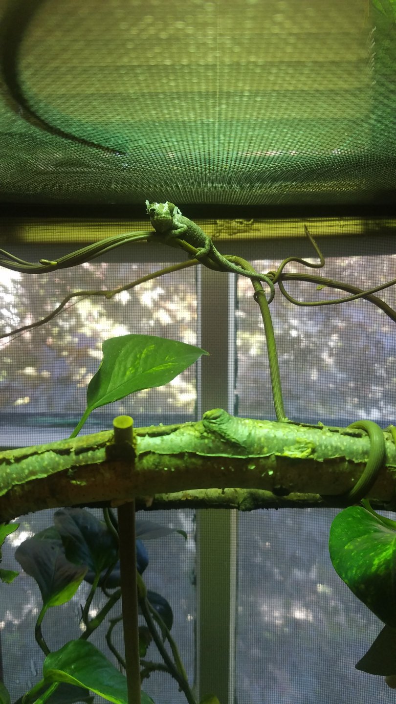 His first shed!