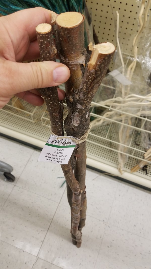 Hobby Lobby Branches for Cham cage