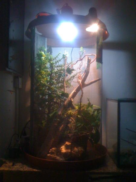 Home made Cage