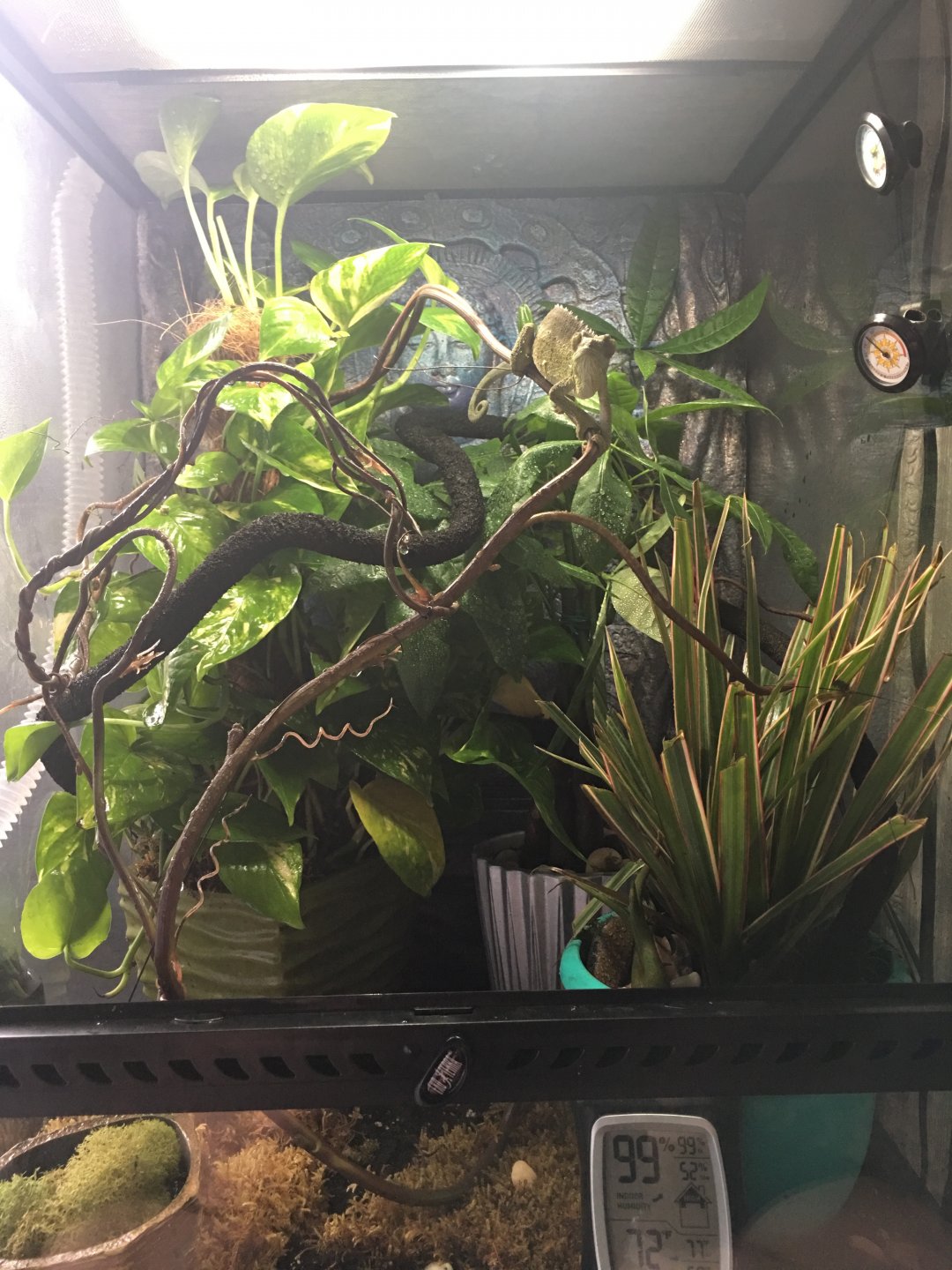 New enclosure