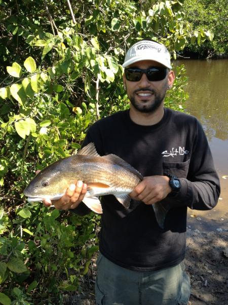 Nice naples redfish