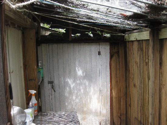 One end is this small shed, which houses my bug farm for crickets and Black Soldier Flies. You can also see the criss-cross of climbing ropes and wire