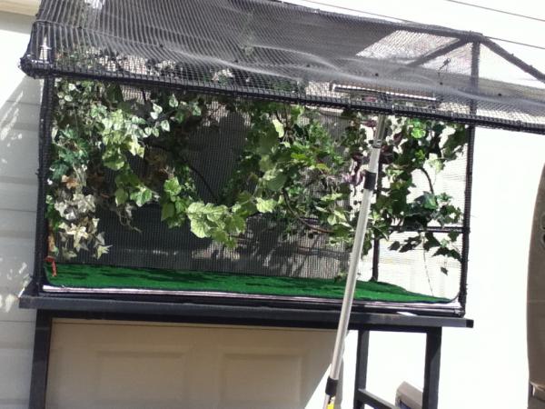 Outdoor enclosure I constructed:)