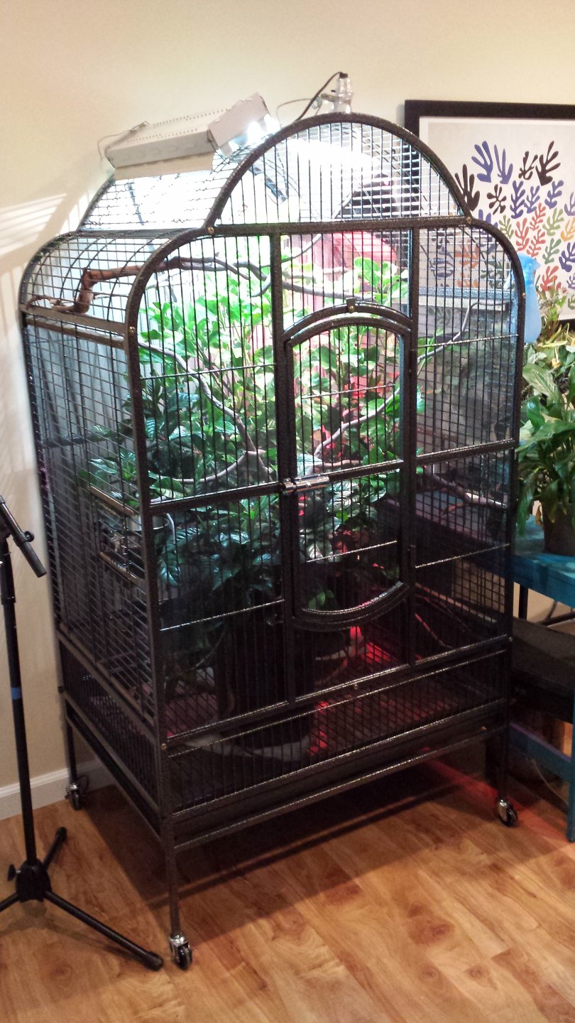 Parrot cage Conversion