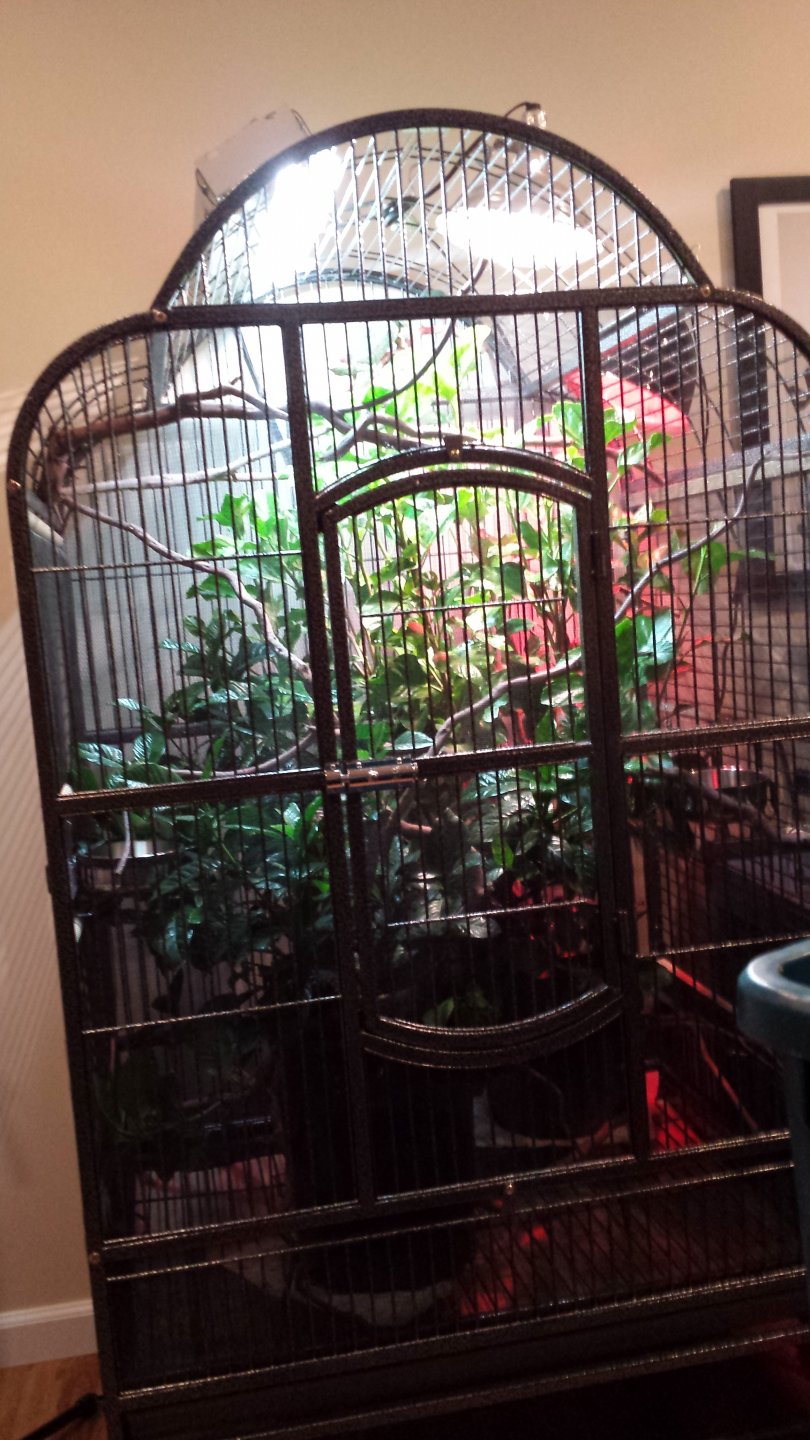 Parrot cage conversion