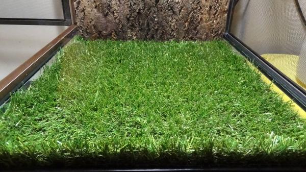 Pet Turf