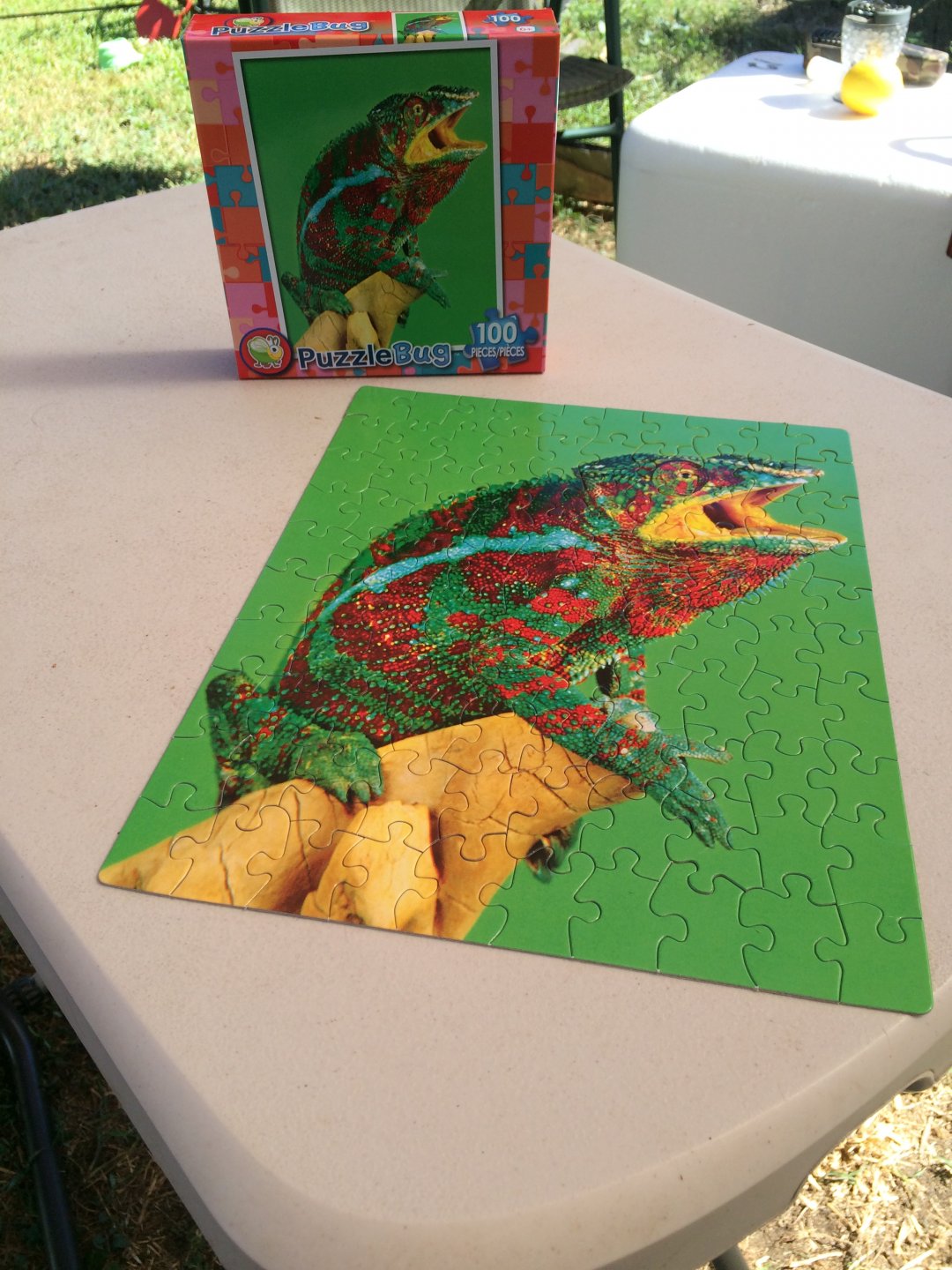 putting puzzle together in the Sukkah