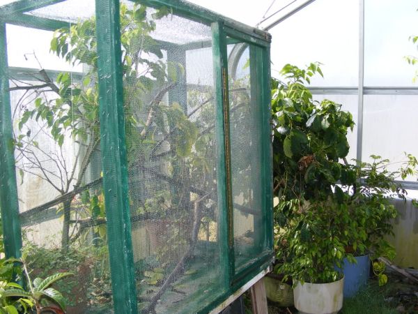 Ranch Location Greenhouse