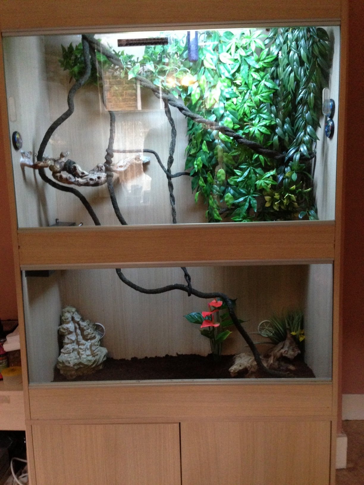 Randalls's Vivarium