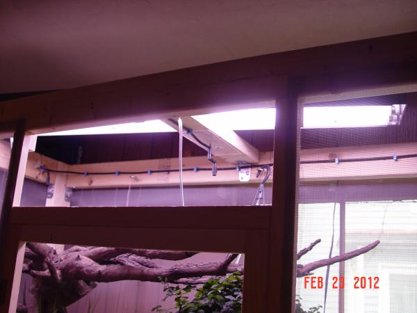 Screen roof is not installed yet but you can see my monsoon system tacked up along the wood.