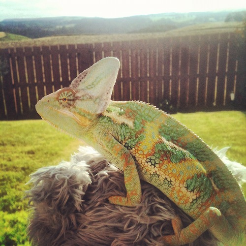 Spending time in the garden with his Mummy and favourite teddy