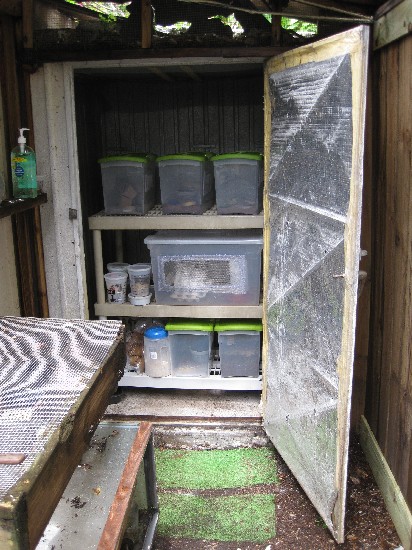 This is my bug barn for crickets and pupating BSF into flies. This makes up one end of the cage/room.