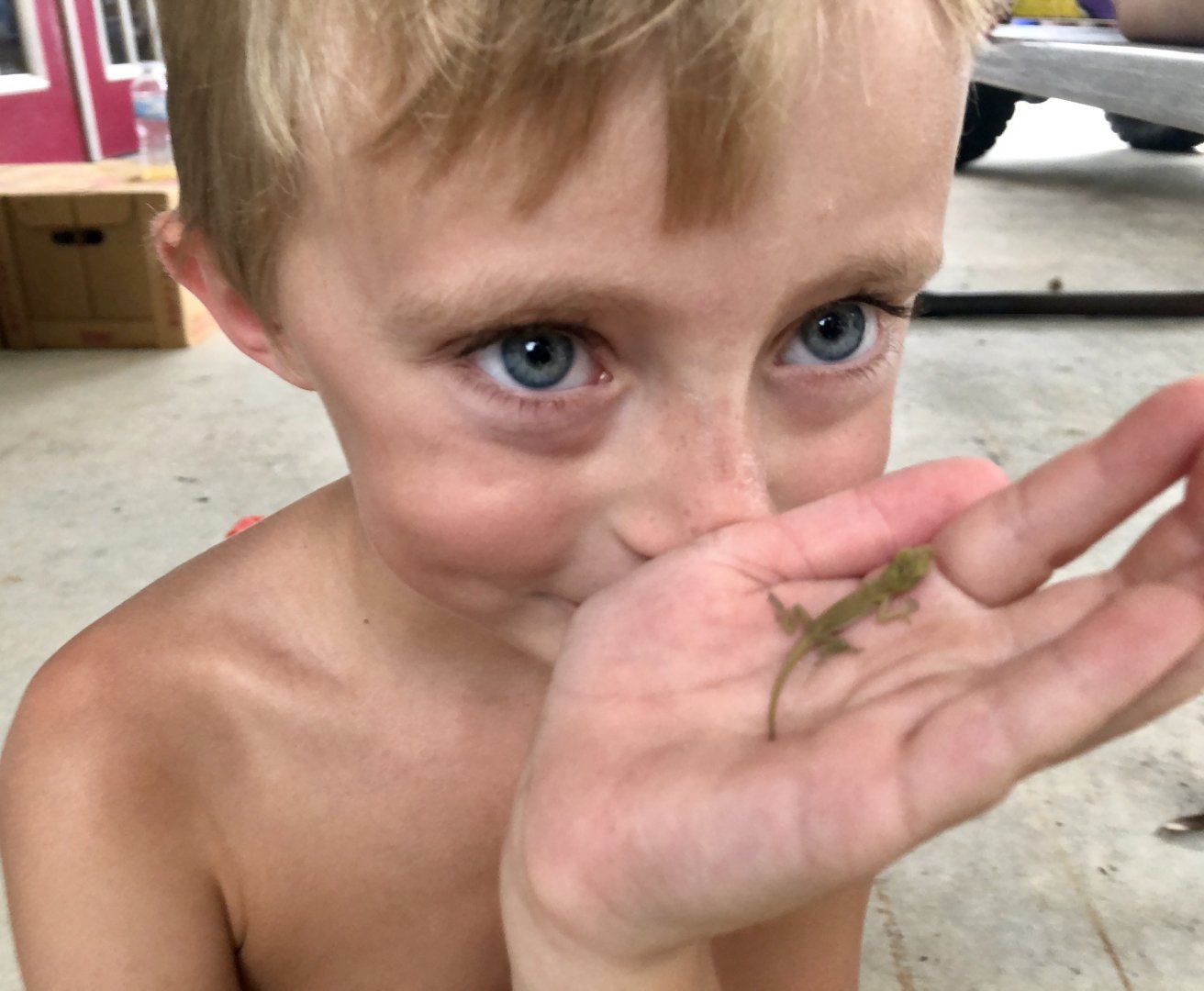 Ty and his baby green anole 6/25/19