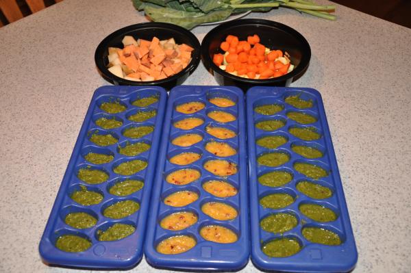 Veggie and fruit gutload mixes in ice cube trays which will be frozen and dethawed as needed.