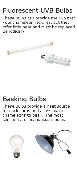 best uvb bulb for chameleons